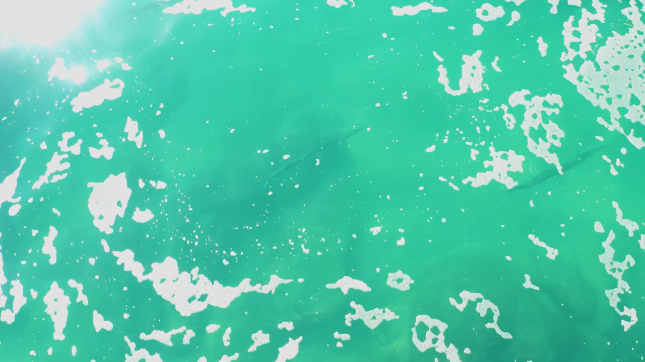 Downward view of turquoise ocean water at Laguna Beach Los Cabos with white foam patches, bright sun glare near the upper left, a faint fish shape below the surface, and no visible people.