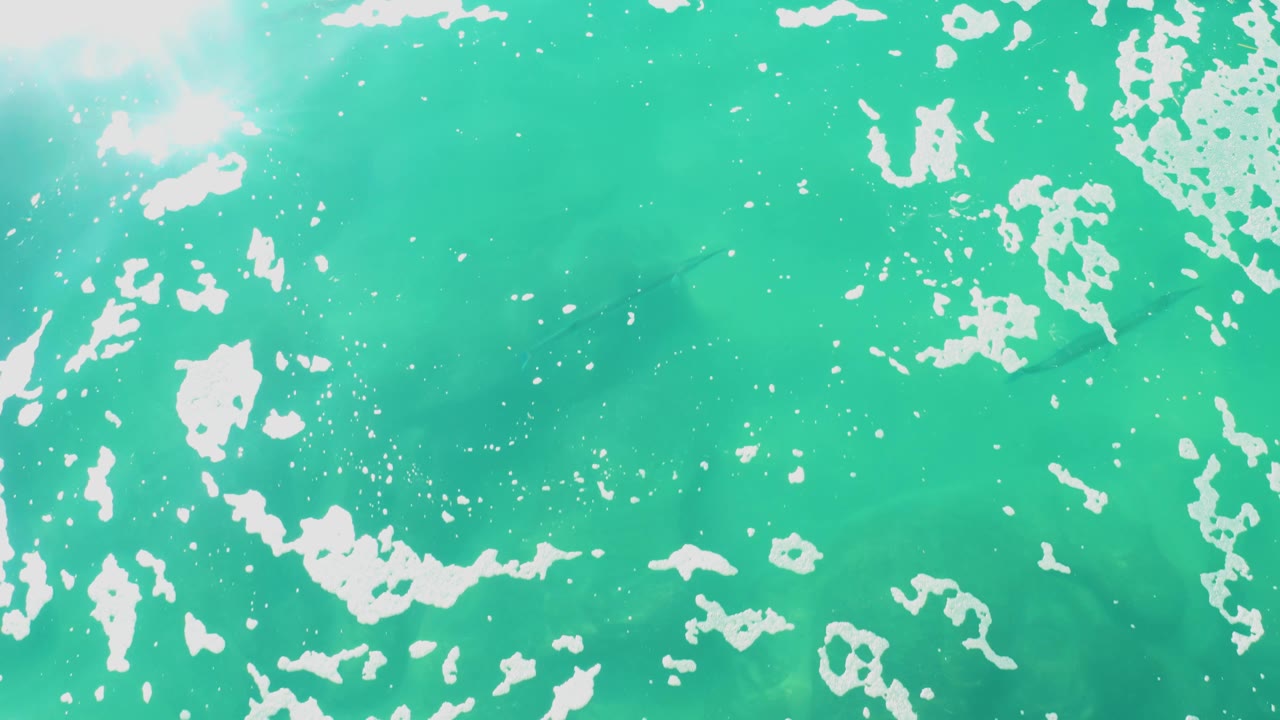 Turquoise water fills the frame at Laguna Beach Los Cabos as white foam breaks across the surface and a darker fish silhouette sits beneath the center area with no visible people.