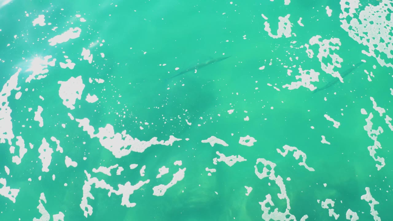 A top-down frame of Laguna Beach Los Cabos water shows bright reflected light near the upper left, broken white foam, small bubbles, and a fish visible below the turquoise surface with no visible people.