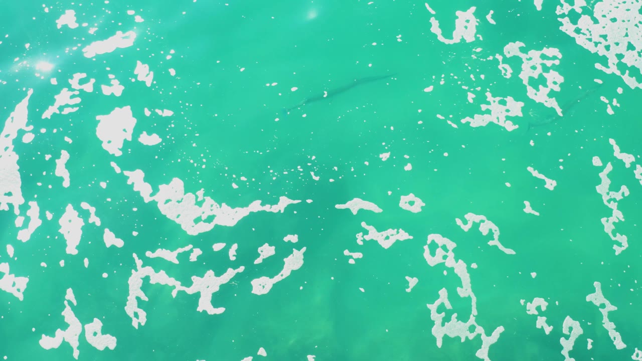 Laguna Beach Los Cabos ocean water appears as a flat turquoise field with irregular white foam patches and a dark fish shape beneath the surface, with no visible people.