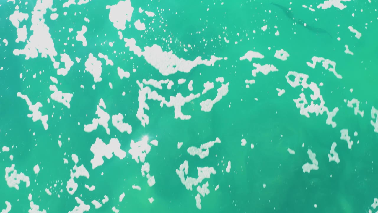 Turquoise water fills the frame at Laguna Beach Los Cabos, with white foam clusters spread across the surface and no visible people.