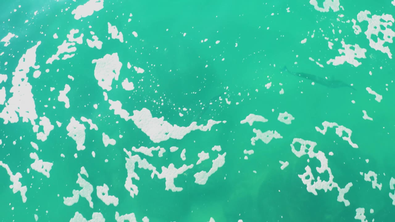A top-down frame of Laguna Beach Los Cabos water shows denser white foam patterns over green-blue ocean and no visible people.