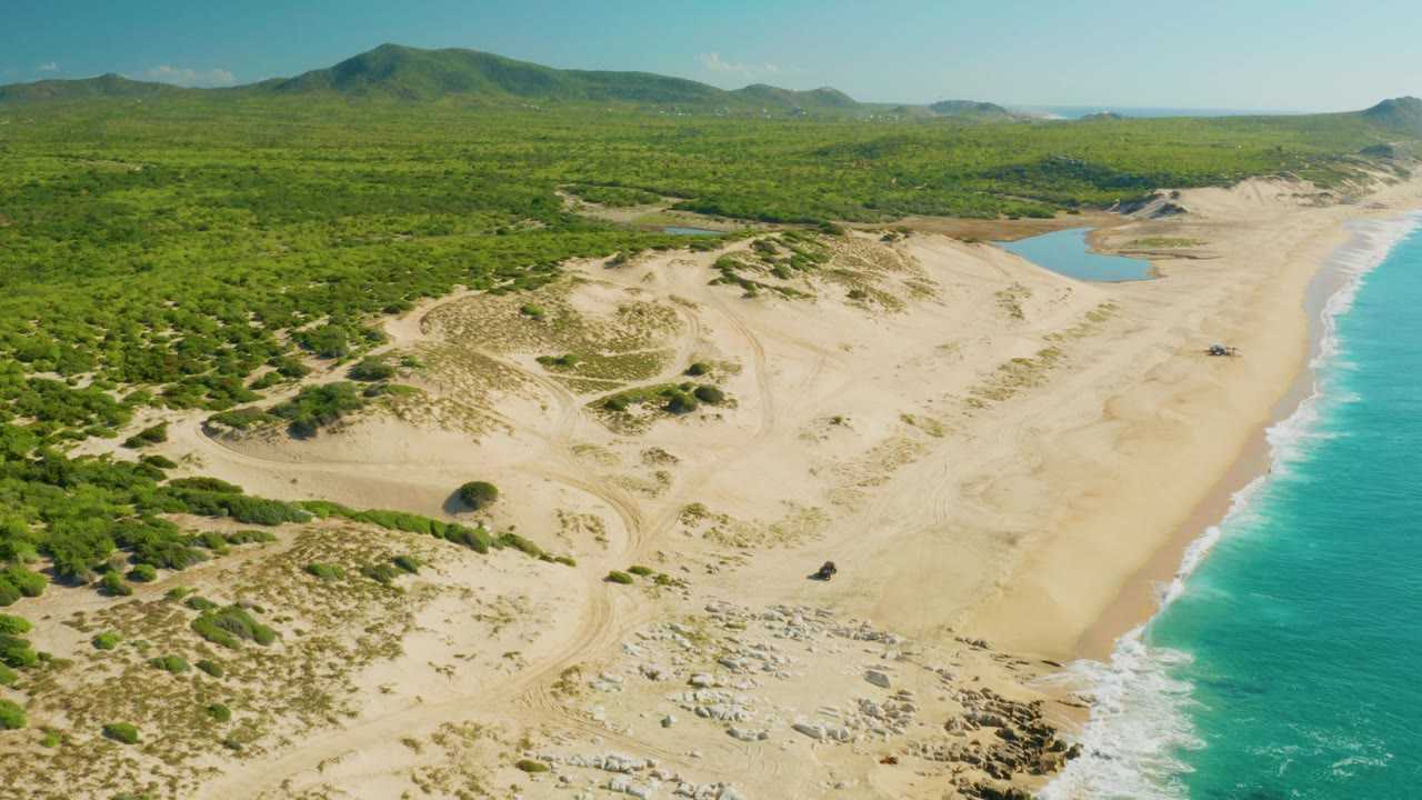 Drone view over Laguna Beach Los Cabos showing pale dune ridges, dense green coastal vegetation, a small lagoon near the beach, blue ocean at right, and no visible people.