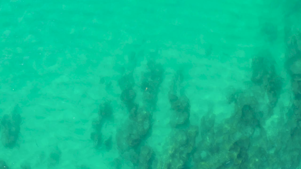 Clear shallow water in Laguna Beach Los Cabos shows vertical dark seaweed forms over pale sand, with no visible people or structures.