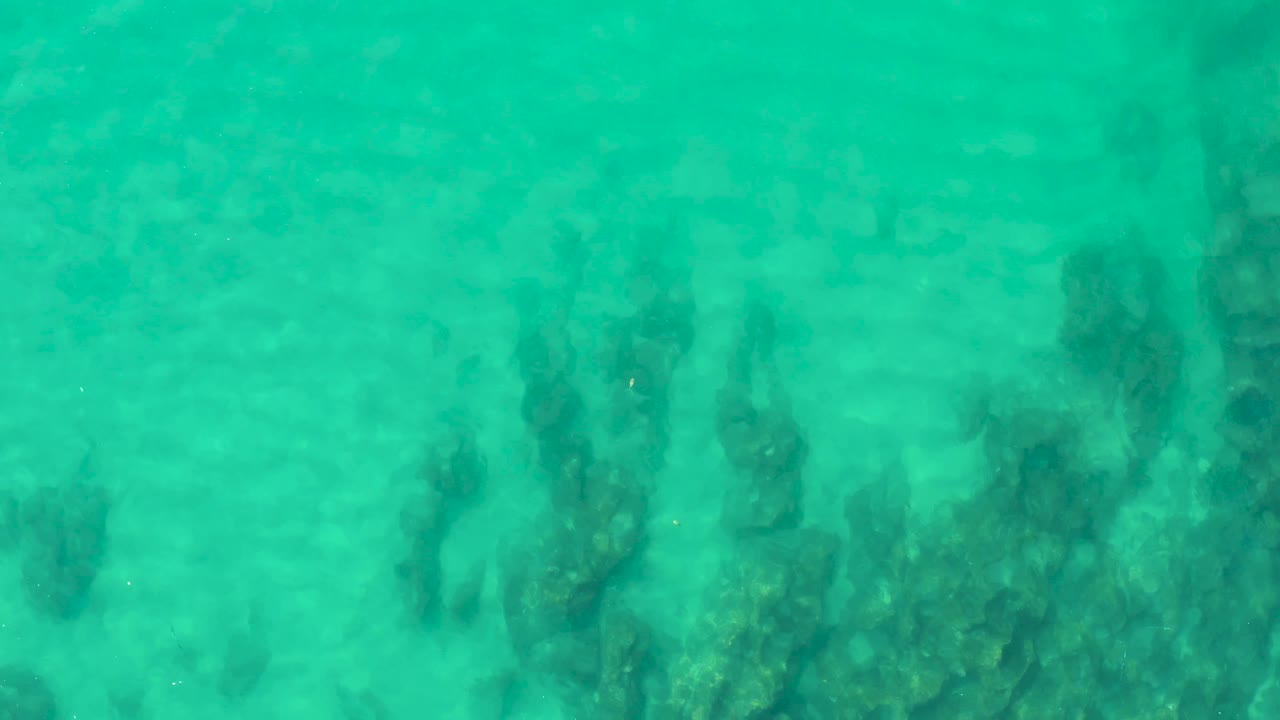 A green-blue underwater frame at Laguna Beach Los Cabos shows scattered seaweed clusters on the sandy bottom and no visible people.