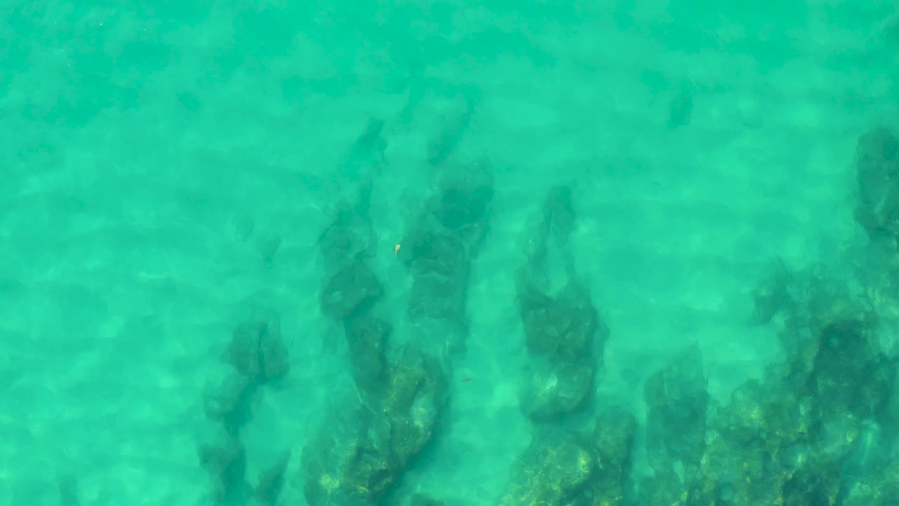 Clear green-blue water reveals vertical dark rock shapes under the surface at Laguna Beach Los Cabos, with no visible people.