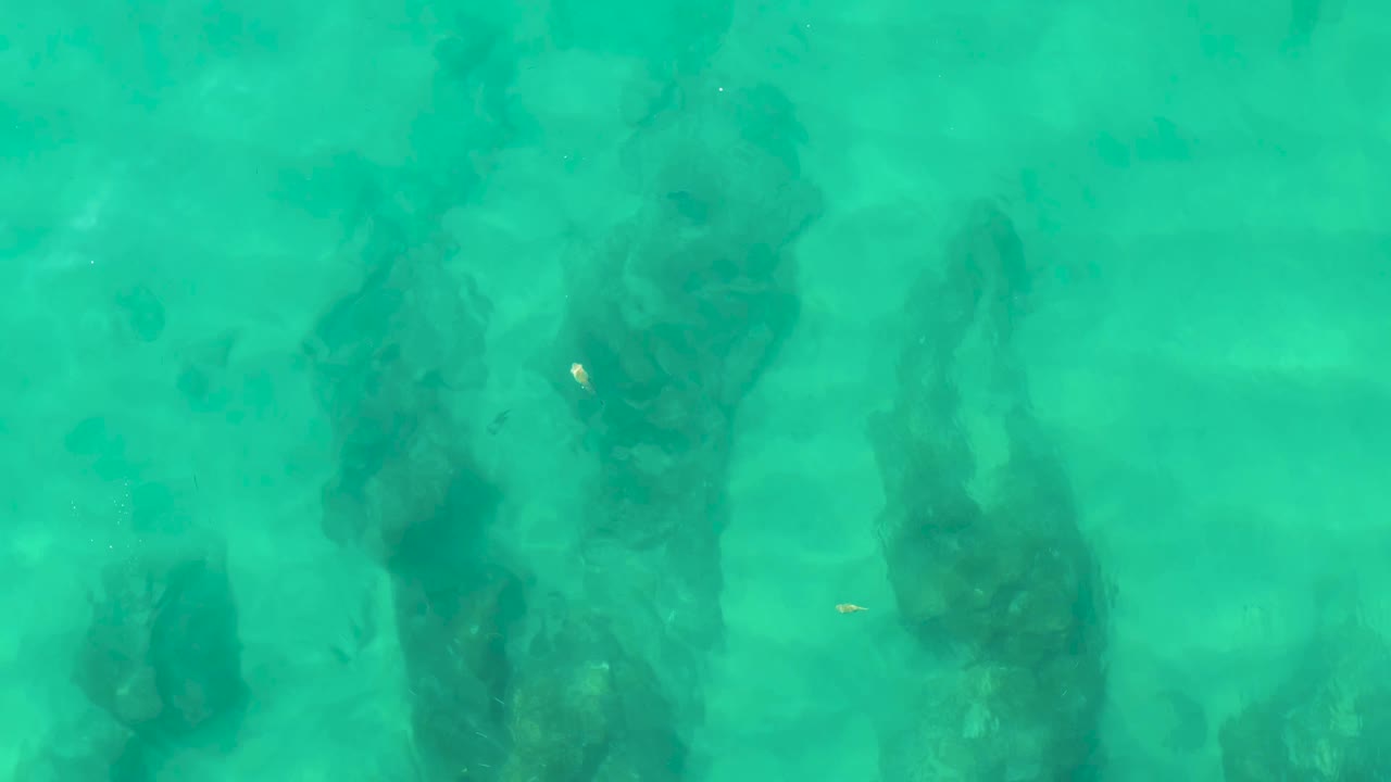 A slightly later view shows the same submerged rocks through turquoise water at Laguna Beach Los Cabos, with a small fish near the formations and no visible people.