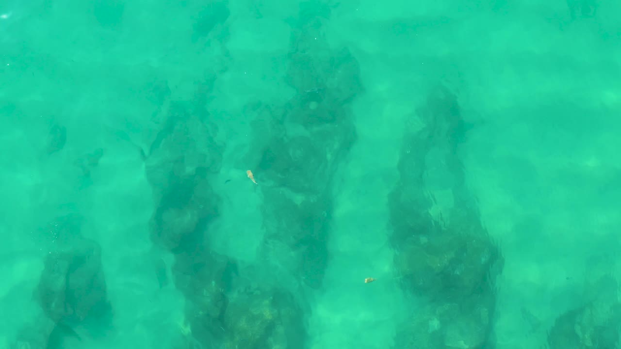 Small fish appear near dark underwater rock shapes in clear turquoise water at Laguna Beach Los Cabos, with no visible people.
