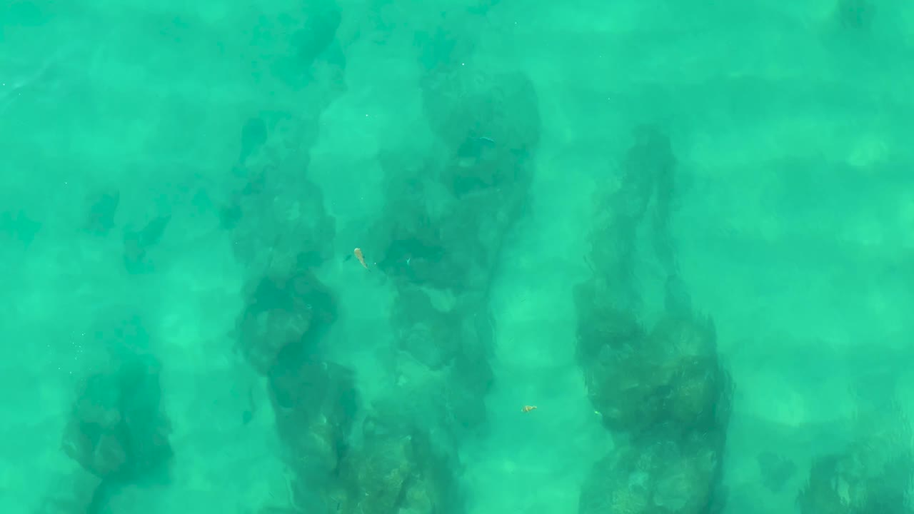 The overhead composition looks down through green-blue water onto uneven dark rock formations on the ocean floor in Laguna Beach Los Cabos, with no visible people.