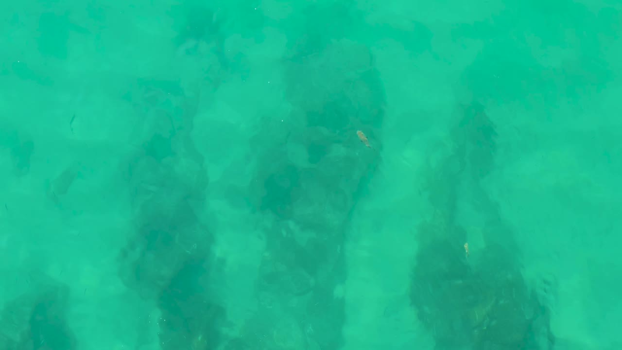 Overhead view of turquoise water above dark submerged rocks at Laguna Beach Los Cabos, with faint fish shapes and no visible people.