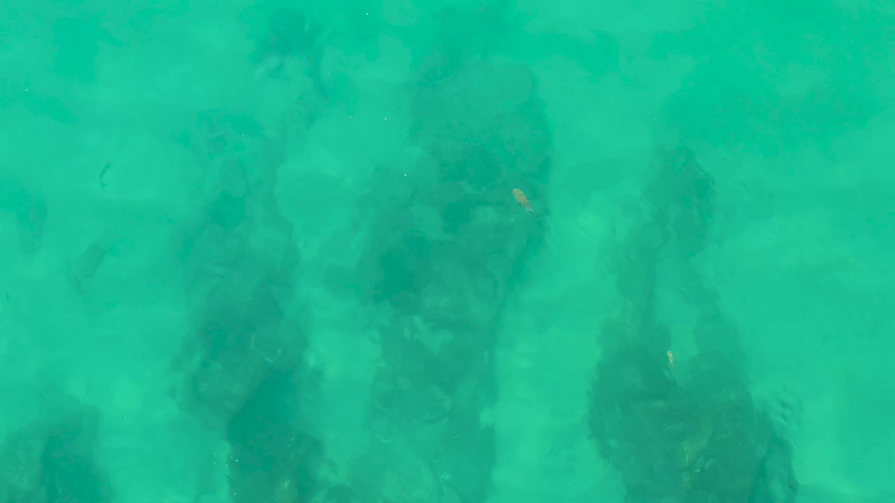 Clear green-blue water reveals uneven dark rocks below the surface at Laguna Beach Los Cabos, with a small fish shape near the rocks and no visible people.