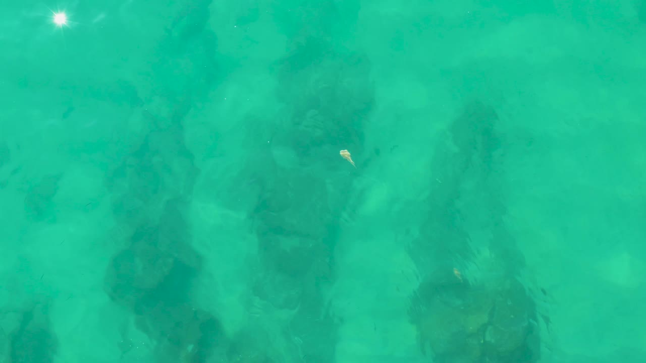 A small pale fish is visible near dark underwater rocks in turquoise water at Laguna Beach Los Cabos, with soft ripples across the surface and no visible people.
