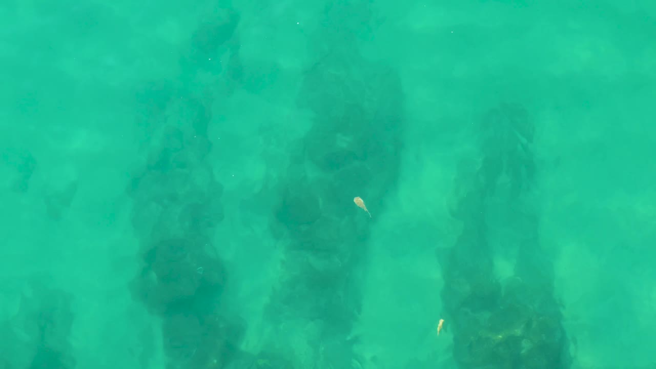 At 0:02, the frame shows a top-down turquoise underwater composition at Laguna Beach Los Cabos, with dark mangrove root forms below and no visible people.