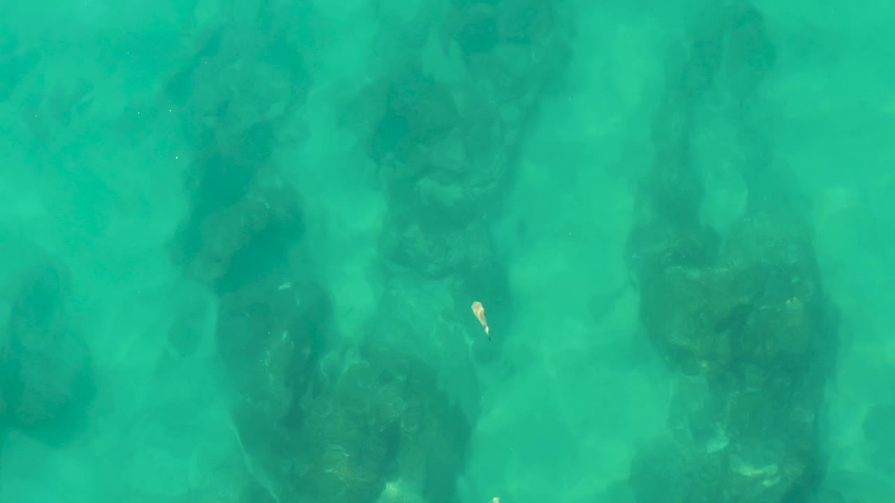 Small fish remains visible over a darker submerged rock patch in clear turquoise water at Laguna Beach Los Cabos, with no visible people.