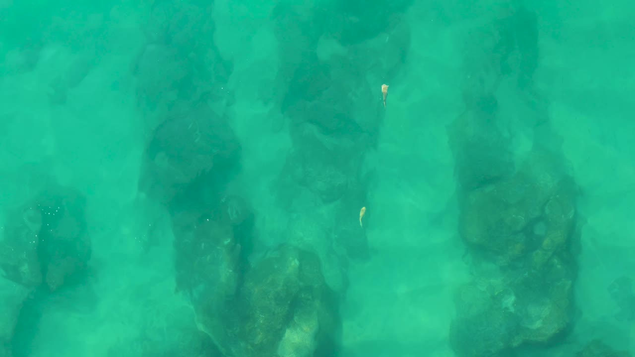 Turquoise water over dark underwater rocks with a small pale fish near the upper frame.