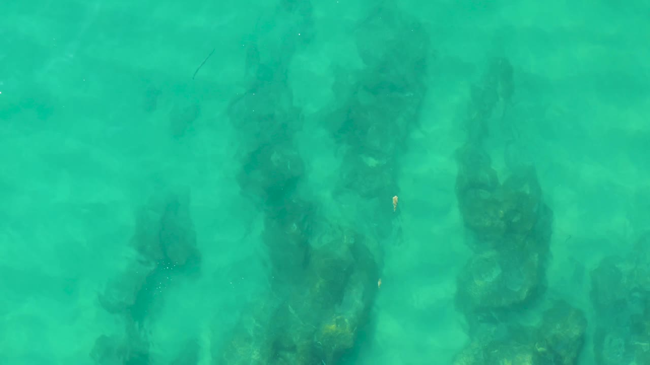 Clear shallow sea at Laguna Beach Los Cabos seen from directly overhead, with dark underwater rocks spread across the frame and no visible people.