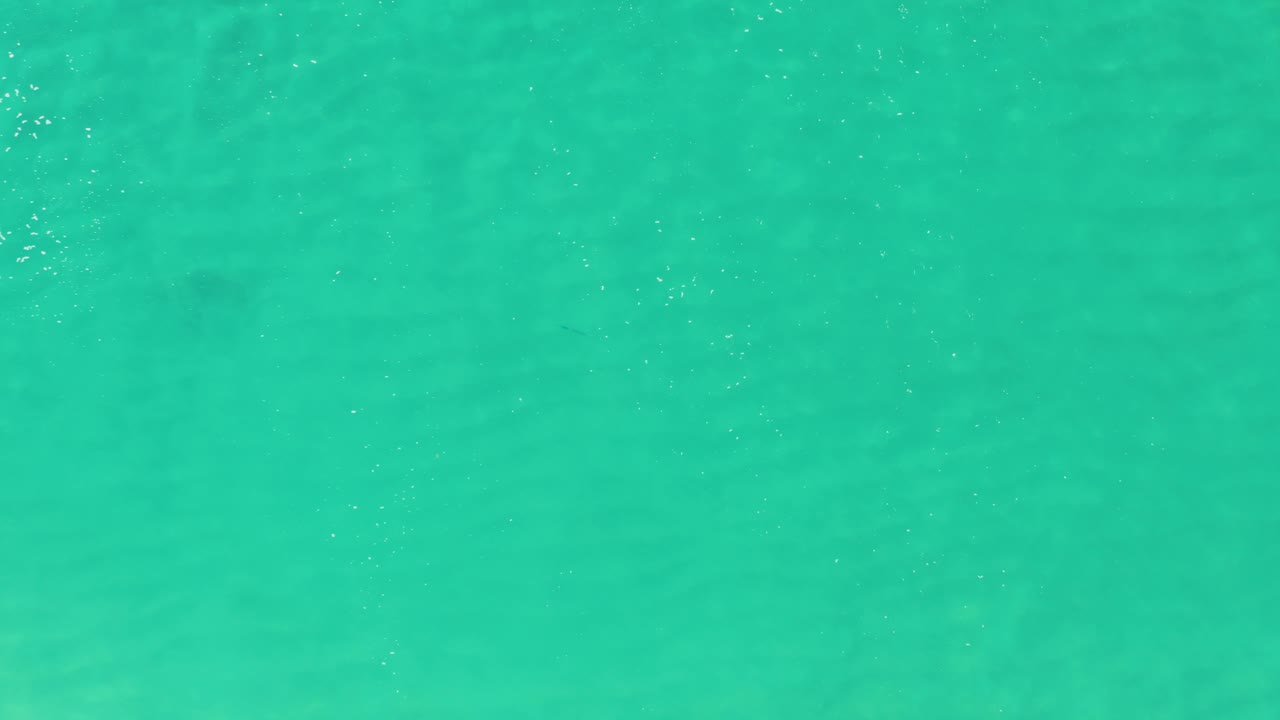 Turquoise shallow ocean water with small white foam patches.