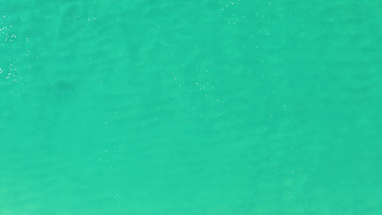 Clear turquoise water fills the frame at Laguna Beach Los Cabos, with small white bubbles clustered left of center, muted sandy bottom detail, and no visible people.
