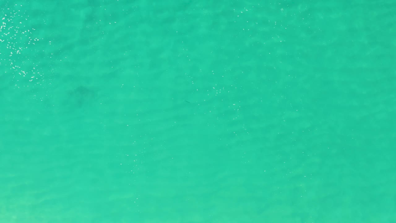 Aqua shallow ocean water at Laguna Beach Los Cabos shows a small foam trail near the upper center, soft ripples across the surface, faint bottom shading, and no visible people.