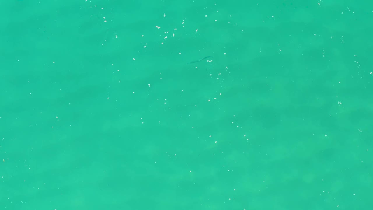 Top-down turquoise water at Laguna Beach Los Cabos with scattered white bubbles and no visible people.