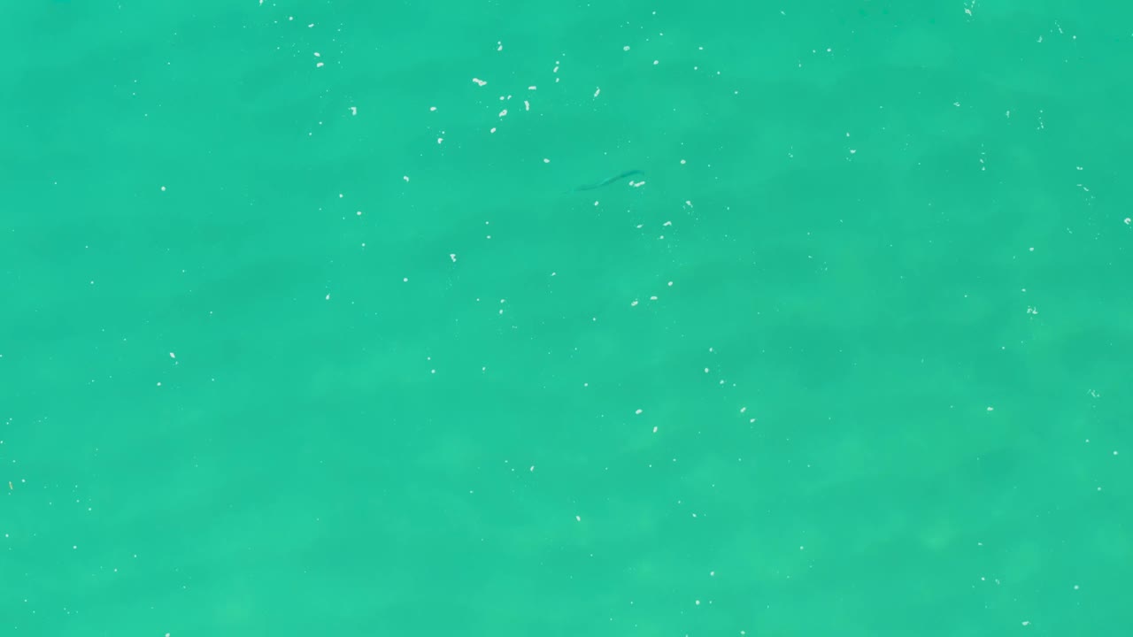Clear turquoise water with drifting specks