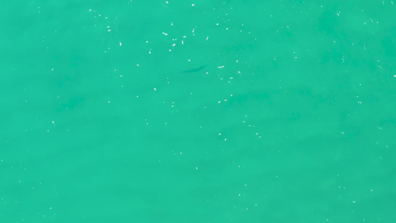 Overhead view of turquoise water in Laguna Beach Los Cabos with faint ripple bands and scattered bubbles, with no visible people.