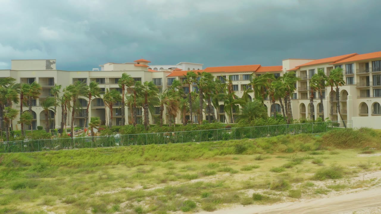 A slightly shifted view of Dreams Resort Los Cabos shows palm trees crossing the cream hotel facade, dune vegetation in front, and no visible people.