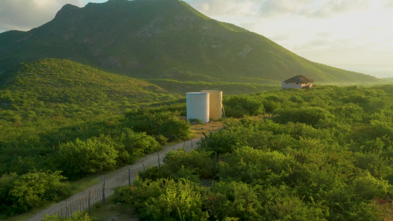 Cabo Pulmo, Baja California Sur view across thick green shrubs toward a white cylindrical structure, a dirt road, a small right-side house, a broad mountain slope, and no visible people.