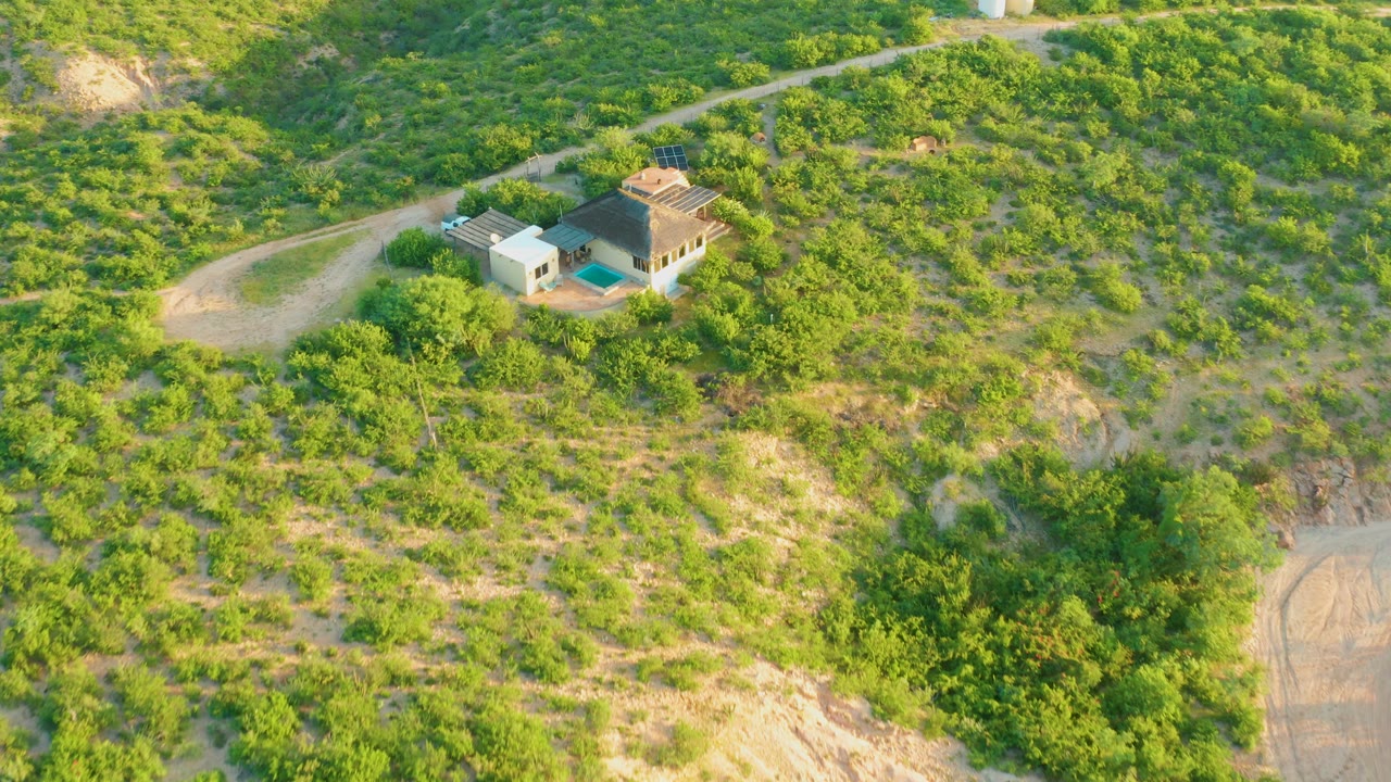 High aerial frame over Cabo Pulmo hillside vegetation, with the house slightly larger, a pale dirt road curving behind it, and no visible people.