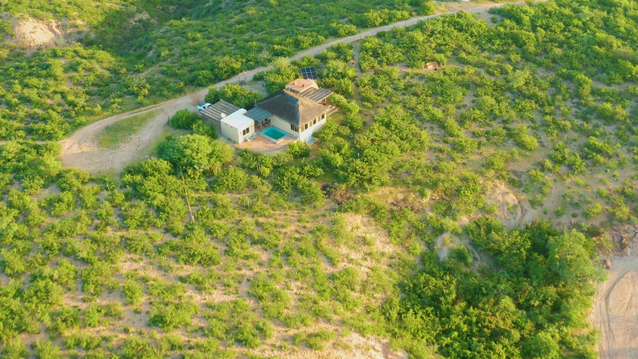 Aerial view in Cabo Pulmo with the house, small blue pool, winding road, and dense green shrubs becoming more distinct, with no visible people.