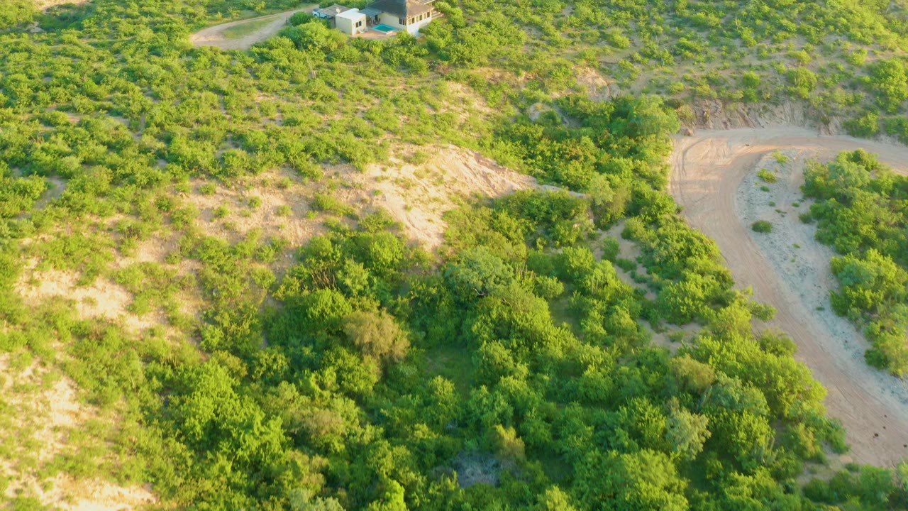 Aerial frame over Cabo Pulmo hillside vegetation with a curving dirt road at right, a small house near the top edge, exposed earth patches, and no visible people.