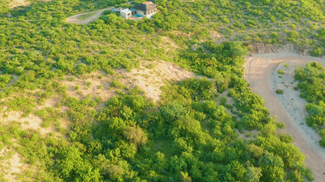 Cabo Pulmo drone frame with scrubby hillside vegetation, a pale road bend on the right edge, the house set back near the top, and no visible people.