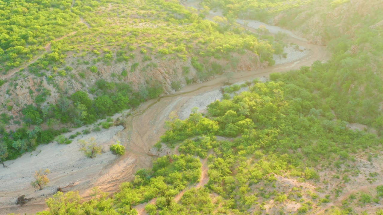 Aerial frame from Cabo Pulmo, Baja California Sur, with the muddy channel running across the lower frame and dense green vegetation covering the slope, with no visible people.