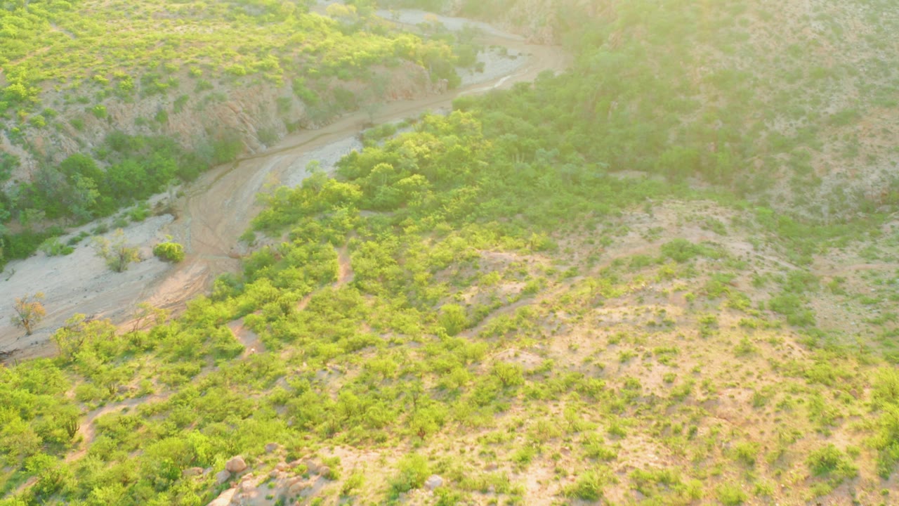Aerial view in Cabo Pulmo with the dirt road running diagonally past dense green shrubs, dry earth slopes, and a washed bright area near the upper frame, with no visible people.