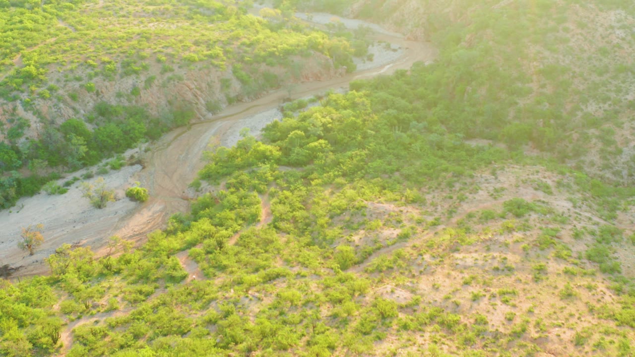 Aerial view over Cabo Pulmo hills with a pale dirt track cutting through green bushes and low trees, dry tan ground in the foreground, and no visible people or vehicles.