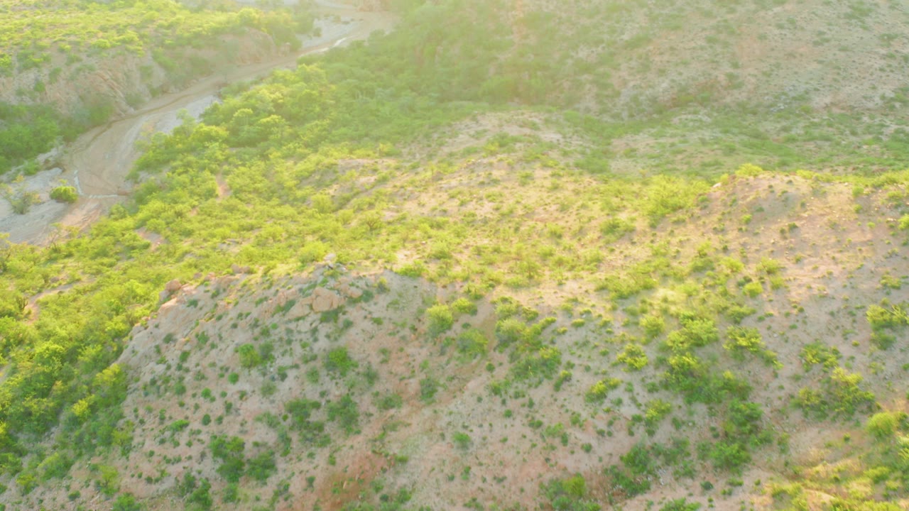 Aerial view in Cabo Pulmo, Baja California Sur, Mexico, showing a pale winding dirt road at left and green brush across dry hills, with no visible people.