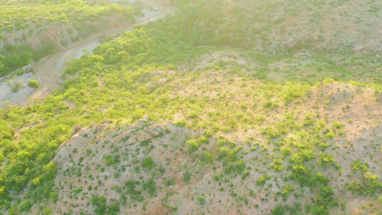Aerial view over Cabo Pulmo hills where green vegetation spreads across tan slopes and the dirt road slips along the upper left edge, with no visible people.