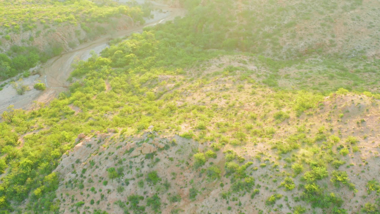 Aerial landscape of green brush and a dirt road through hilly terrain.
