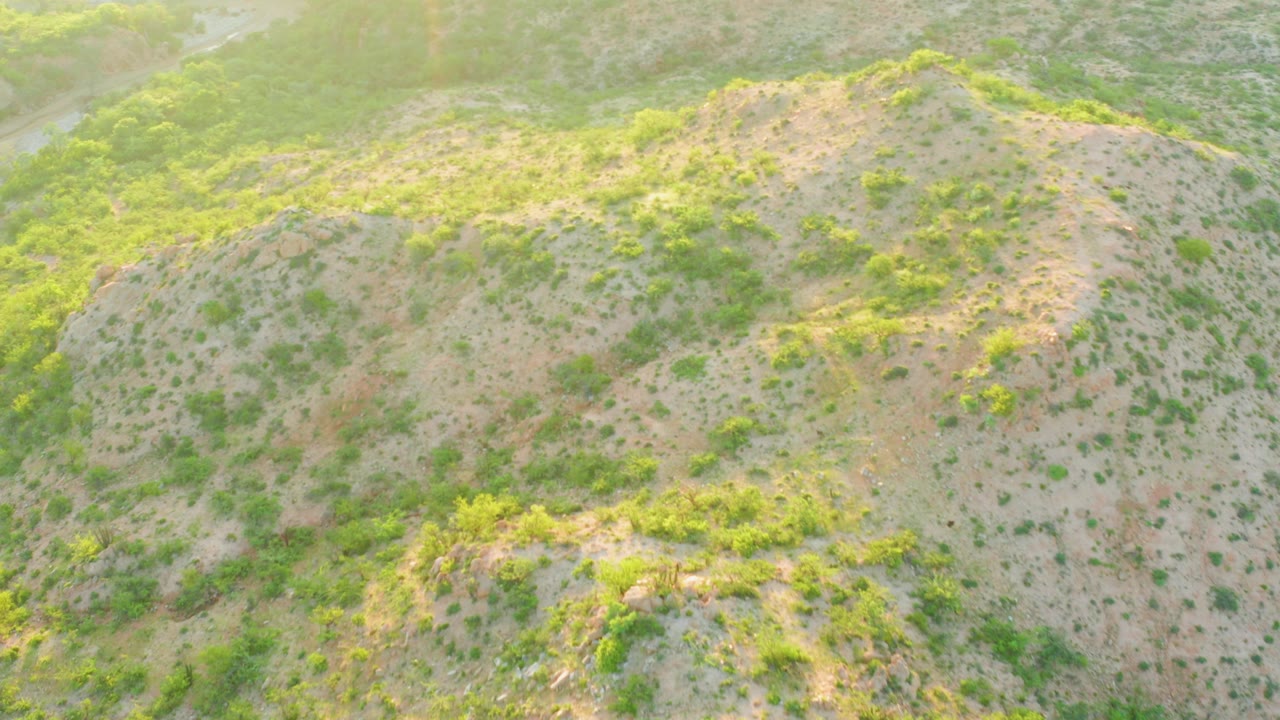 High aerial view over a dry shrub-covered hillside in Cabo Pulmo, Baja California Sur, with pale brown earth, scattered green vegetation, and no visible people.