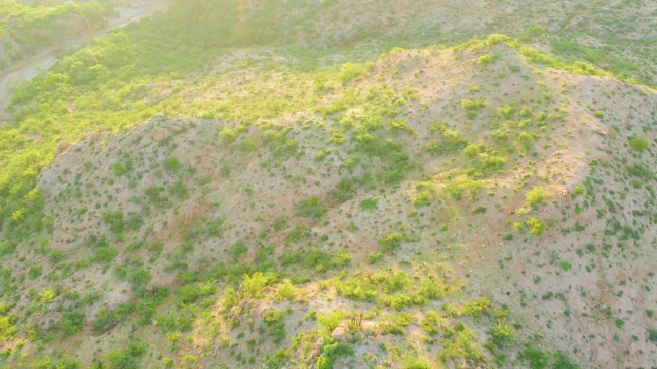 A high-angle view of an arid Cabo Pulmo hillside with uneven green shrub patches, pale earth tones, hazy light, and no visible people.