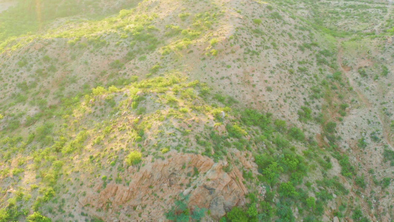 Aerial frame over Cabo Pulmo hillside terrain showing a shallow central gully, dotted shrubs, pale earth, and no visible people.