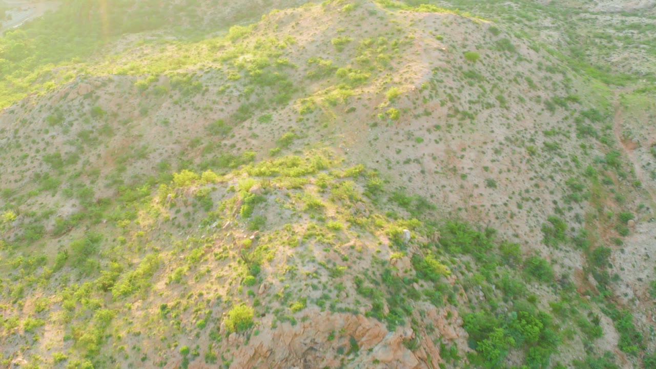 Aerial frame of Cabo Pulmo hillside scrub with a reddish rock ledge low in the view, pale slopes above it, and no visible people.