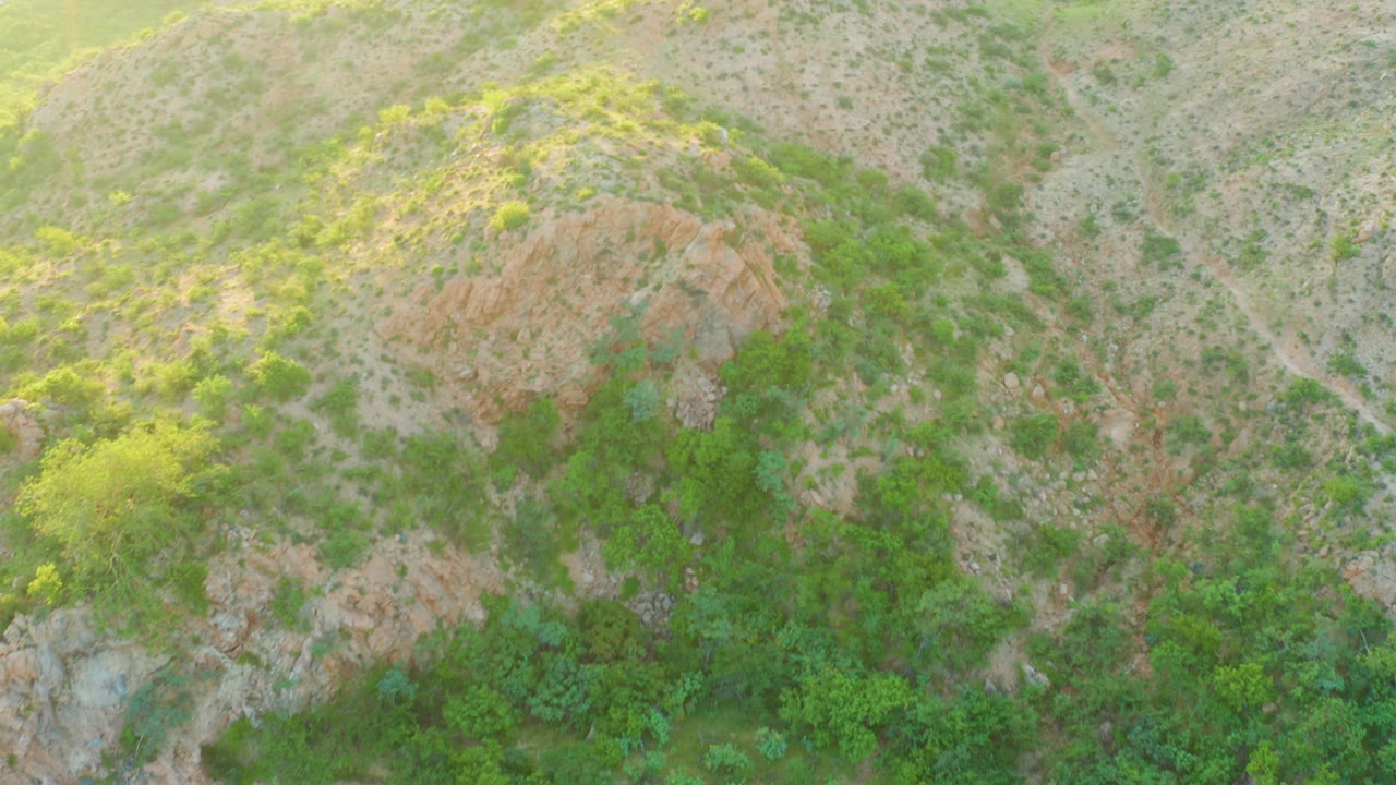 Aerial frame from Cabo Pulmo, Baja California Sur with the rocky outcrop centered, pale dry ground around it, green vegetation below, and no visible people.