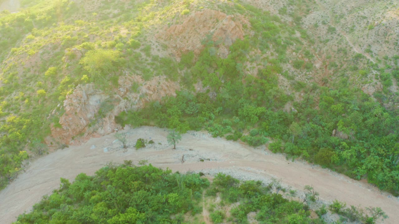 A high aerial view in Cabo Pulmo, Baja California Sur shows a pale curved dirt road at the bottom of the frame, dense green shrubs, rocky tan hillside, and no visible people.