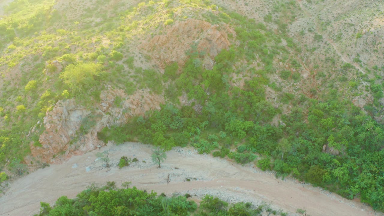 Hillside shrubs and dirt road seen from above