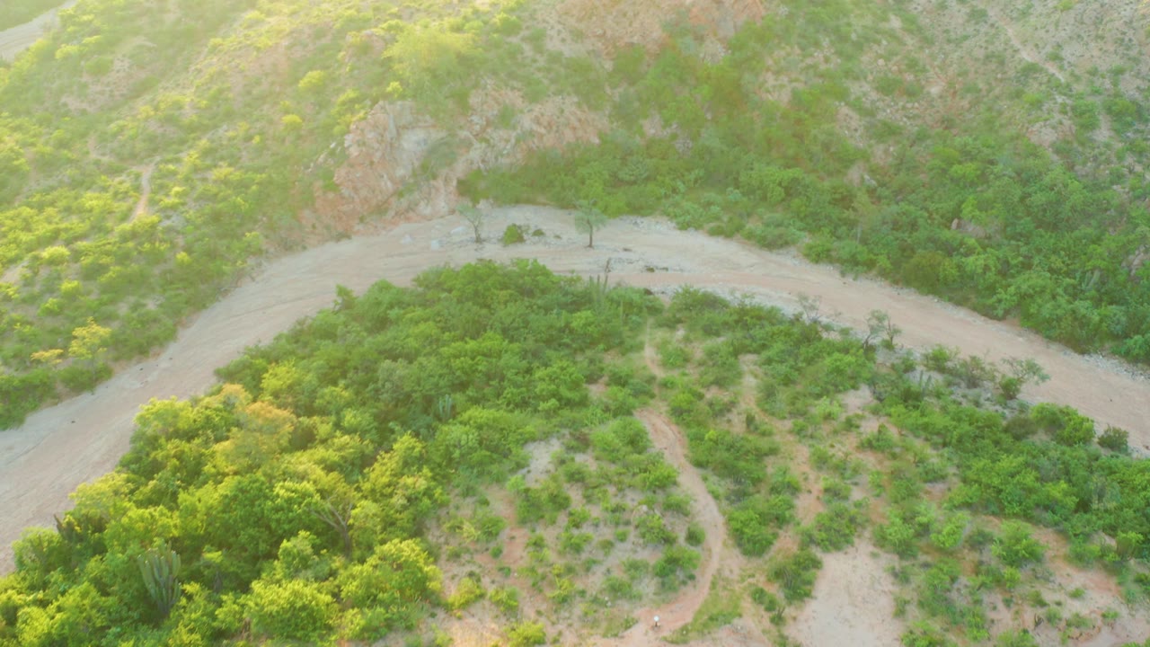 Aerial view over Cabo Pulmo, Baja California Sur, with a pale dirt road curving around dense green vegetation and no visible people.