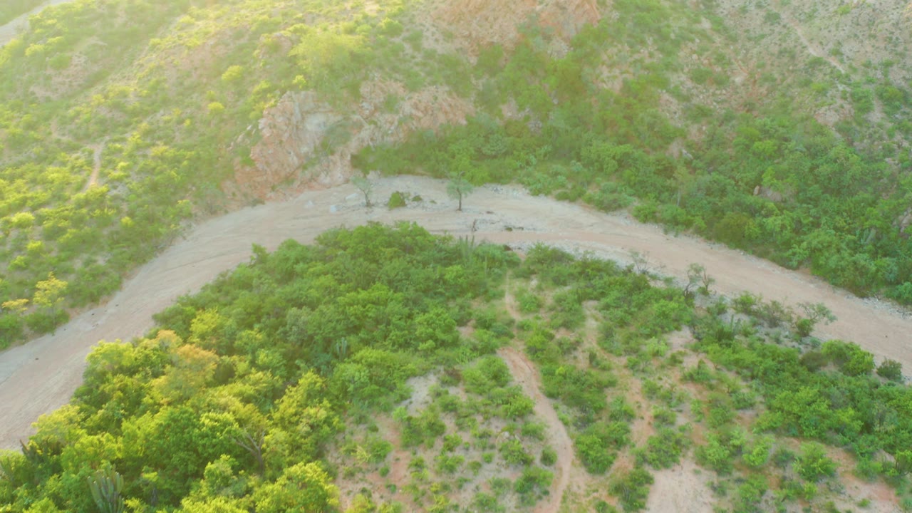 A pale road curve passes between thick green shrubs and rocky Baja California Sur hillsides, with the vehicle still small in frame and no visible people.