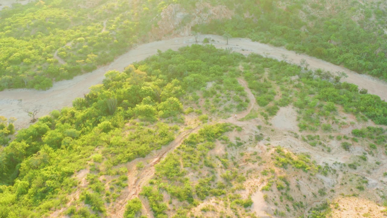 Aerial frame from Cabo Pulmo with the river bend slightly more centered, dense green vegetation along the bank, pale dry ground, and no visible people.