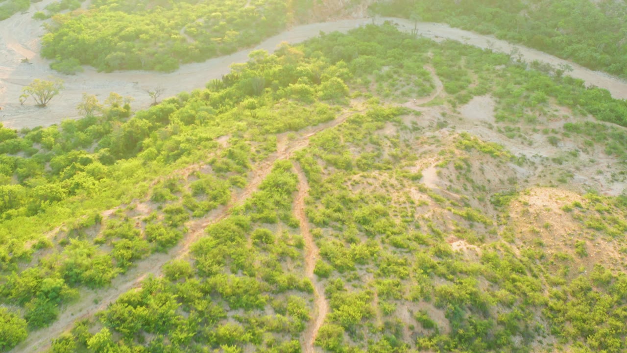 Cabo Pulmo aerial view with the pale river channel crossing the upper frame and a sandy, brush-covered slope below, with no visible people.