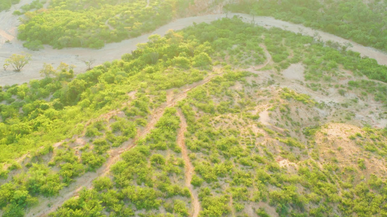 Aerial Cabo Pulmo frame showing branching sandy paths through green scrub below a pale winding channel, with no visible people.